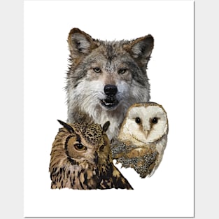 Wolf and owls Posters and Art